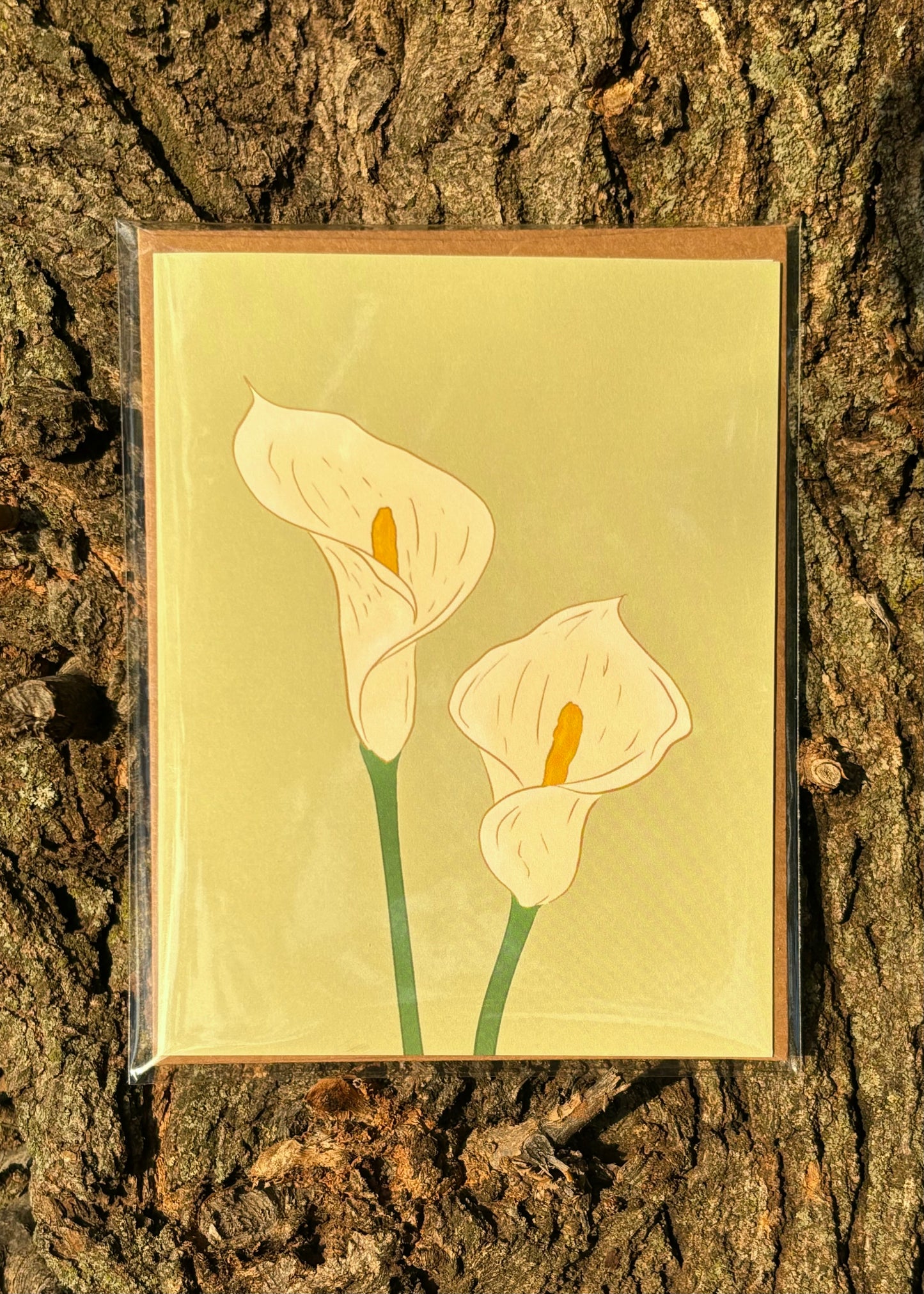 Calla Lilly Greeting Card