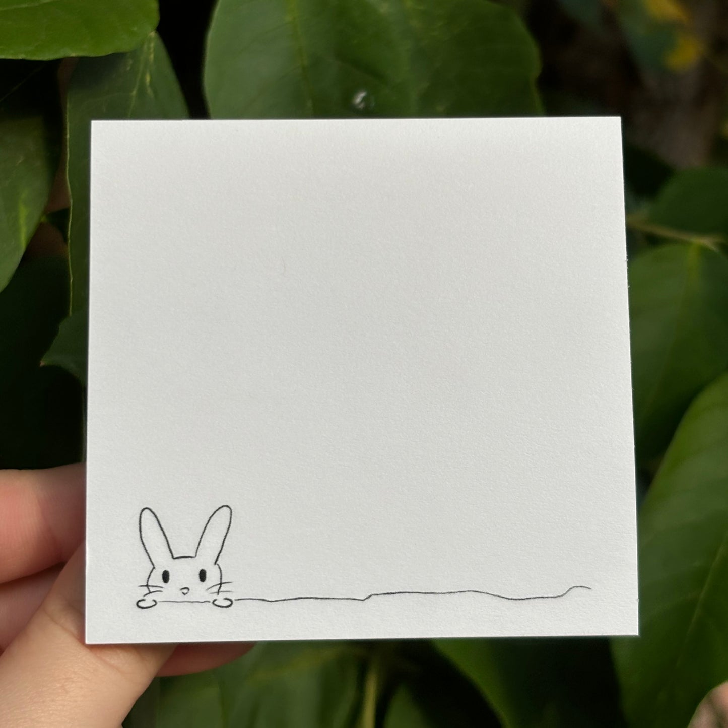 Bunny Sticky Notes