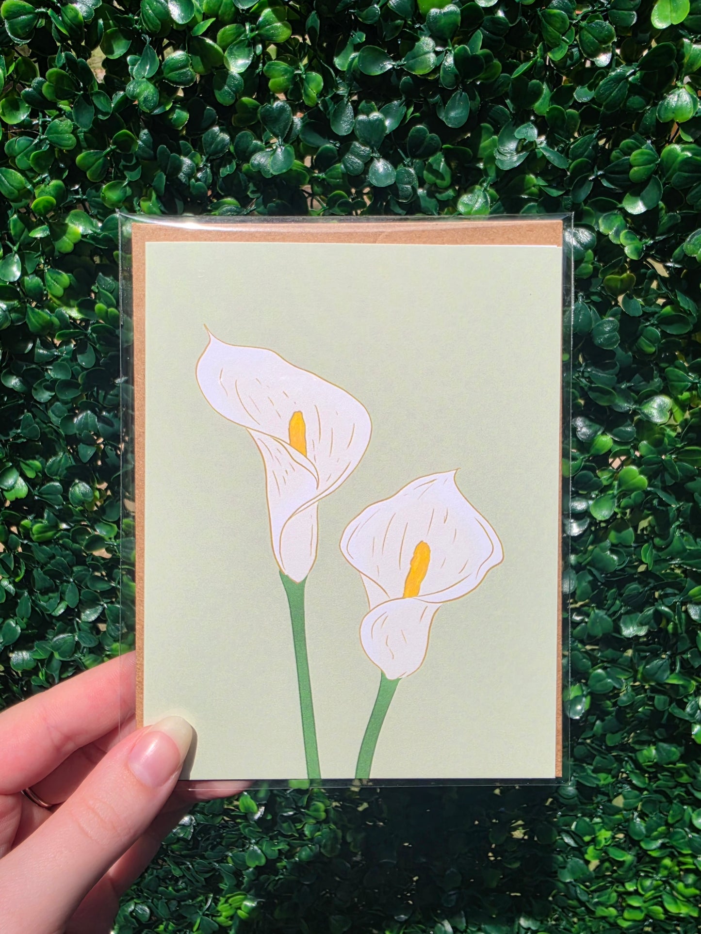 Calla Lilly Greeting Card