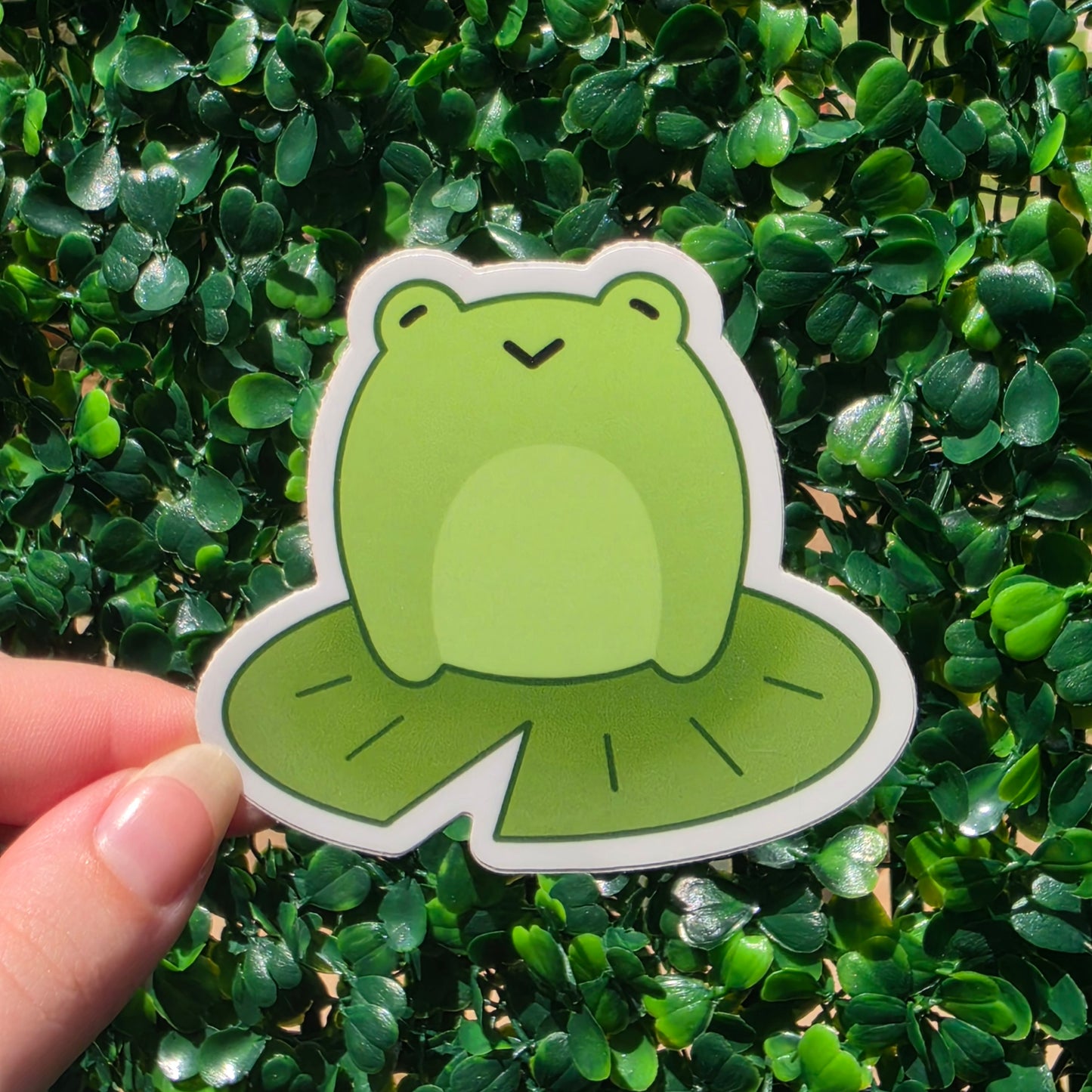 Frog Sticker