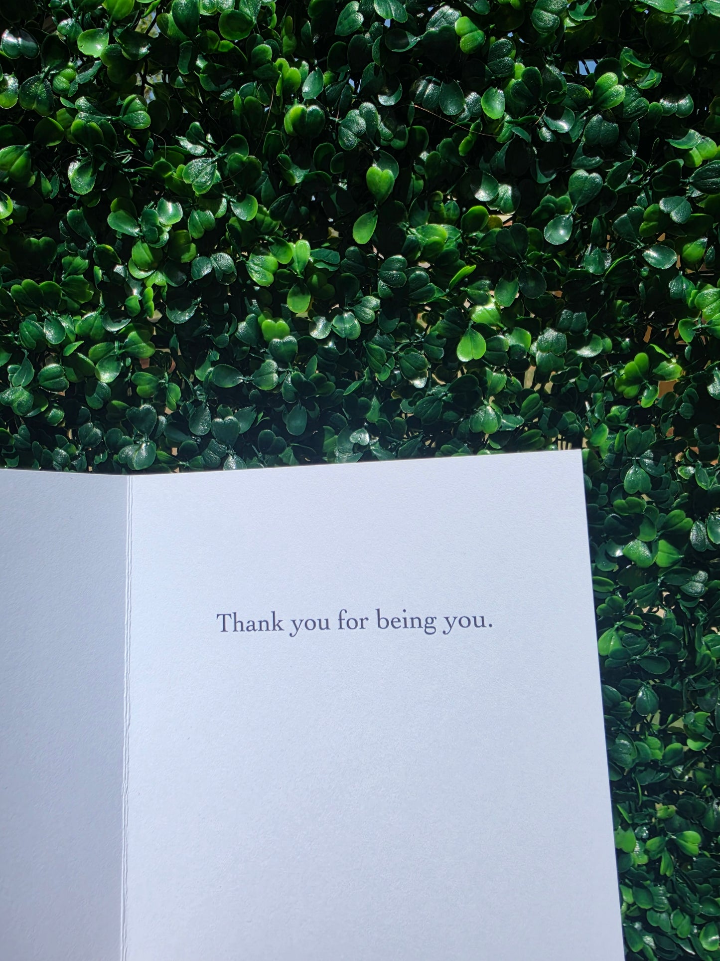 An Ounce of Your Smile Greeting Card